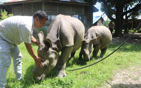 सौराहामा रमाइरहेका दुइटा केटा
