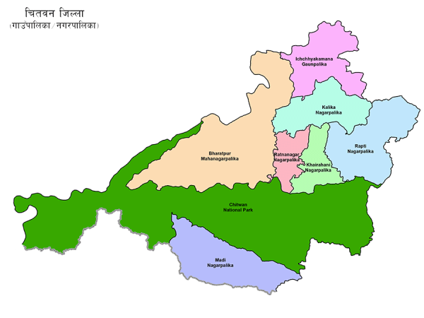जापानिज इन्सेफ्लाइटिसका कारण पाँच जनाको मृत्यु
