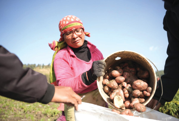 बाली थन्क्याउने मेलाे