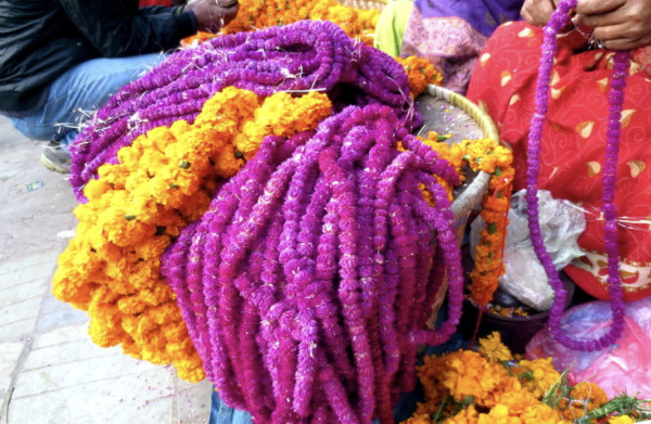 तिहारमा महानगरभित्र विदेशी फूल प्रतिबन्धित