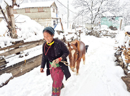 पहाडी क्षेत्रमा वर्षासँगै हिमपात