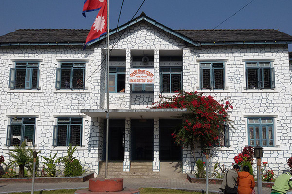 यसरी भयो अदालतमा आक्रमण