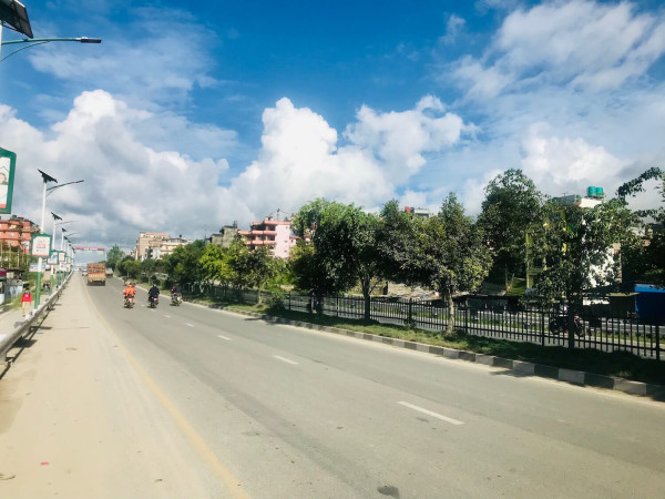 सार्वजनिक जग्गामा वृक्षारोपण