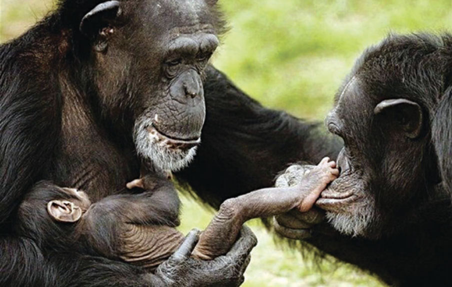 ‘अरूको चियो गर्नु राम्रो’