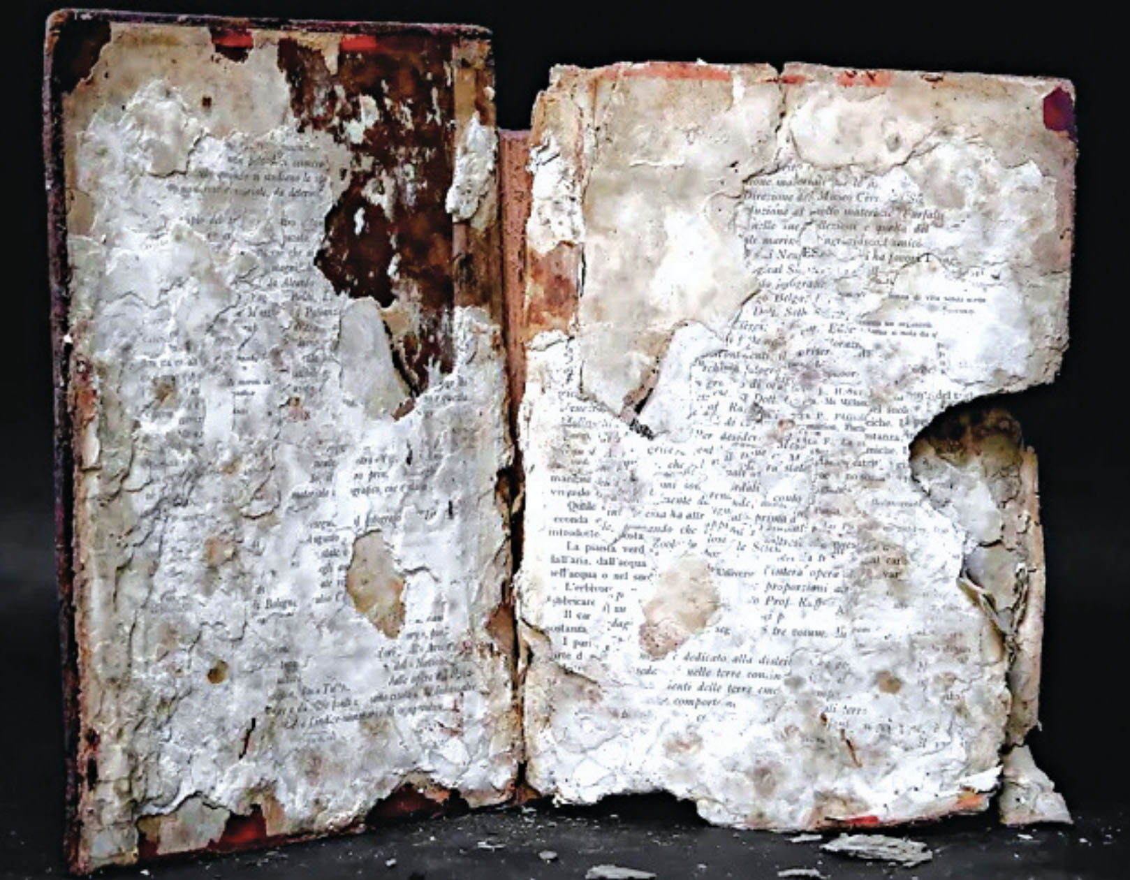 बाढीबाट बचाइए सय वर्ष पुराना पुस्तक