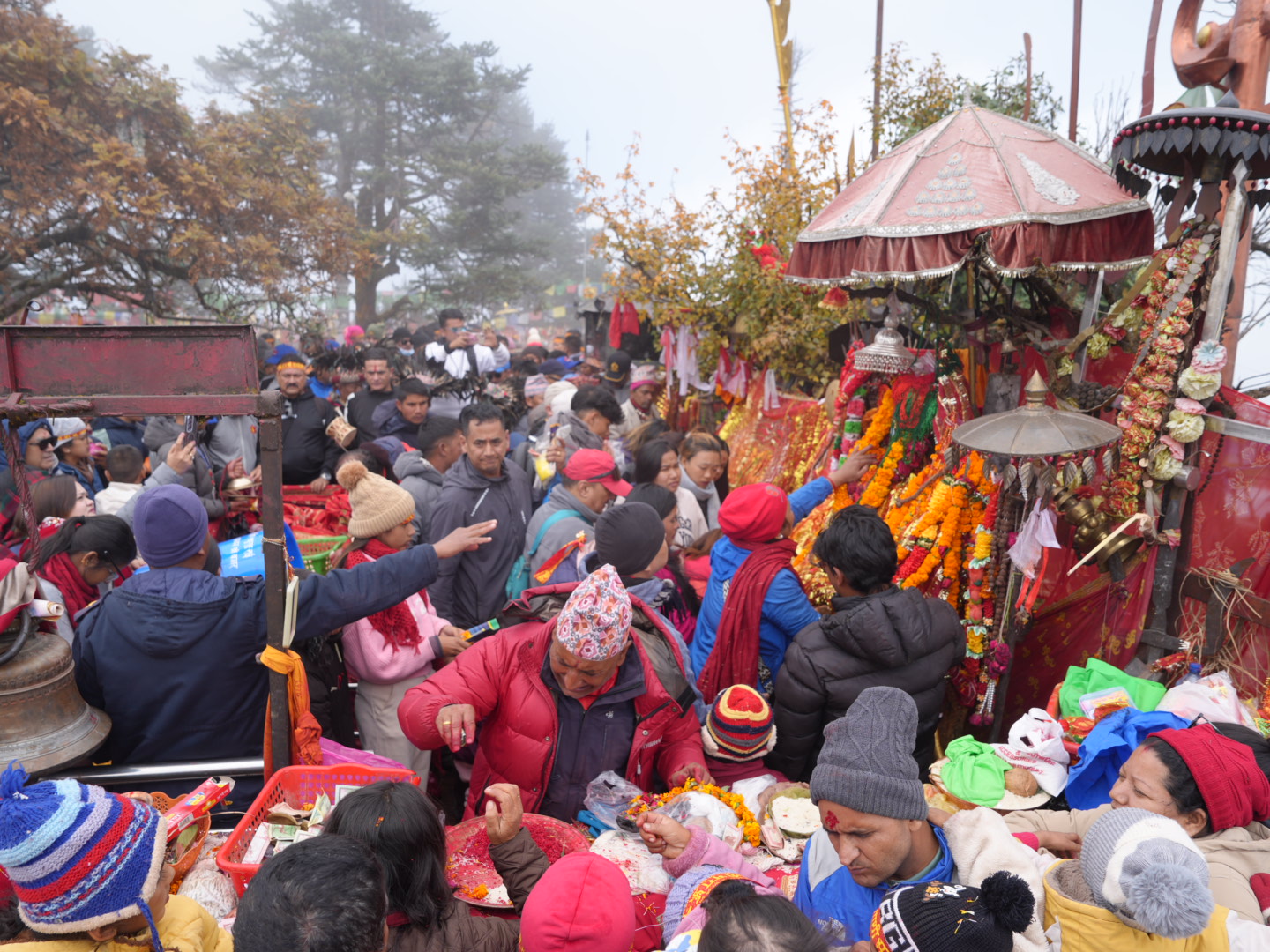 शनिबार छ हजार ३९३ जना भक्तजनले पाथीभरा दर्शन गरे